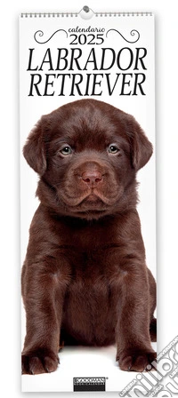 Labrador Retriever. Calendario 2025. Long