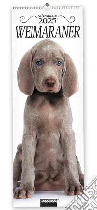 Weimaraner. Calendario 2025. Long libro