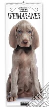 Weimaraner. Calendario 2025. Long libro