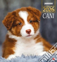 Cani. Calendario 2026. Magnum libro