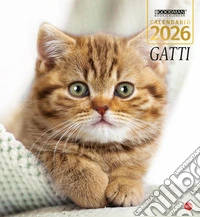 Gatti. Calendario 2026. Magnum libro