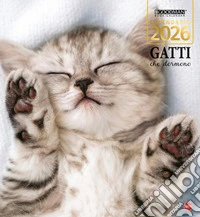 Gatti che dormono. Calendario 2026 libro