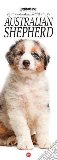 Australian shepherd. Calendario 2026. Long libro