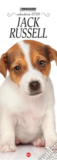 Jack Russell. Calendario 2026. Long libro