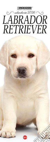 Labrador Retriever. Calendario 2026. Long libro