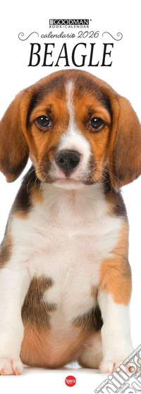 Beagle.Calendario 2026. Long libro