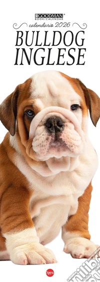 Bulldog inglese. Calendario 2026. Long libro