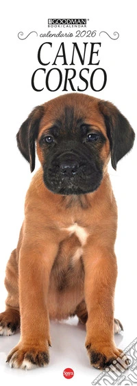 Cane corso. Calendario 2026. Long libro