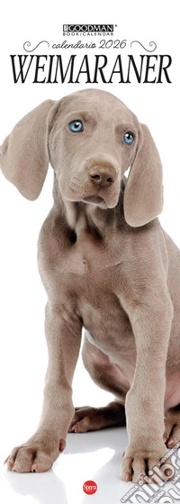 Weimaraner. Calendario 2026. Long libro