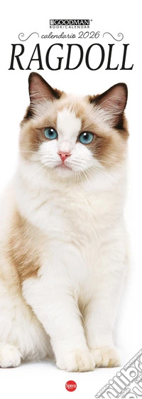 Ragdoll. Calendario 2026. Long libro