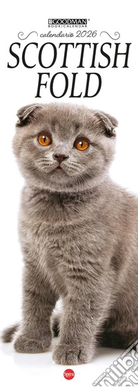 Scottish Fold. Calendario 2026. Long libro