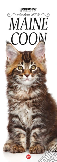 Maine Coon. Calendario 2026. Long libro