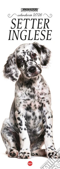 Setter inglese. Calendario 2026. Long libro