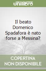 Il beato Domenico Spadafora è nato forse a Messina? libro