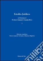 Estudios juridicos en homenaje al profesor Alejandro Guzman Brito. Vol. 1