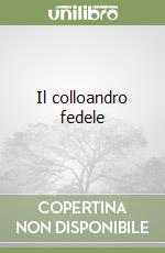 Il colloandro fedele