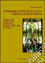 Itinerari d'arte nelle valli Curone, Grue e Ossona. Viaggio alla scoperta del patrimonio artistico delle valli tortonesi libro