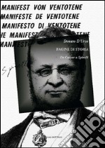 Pagine di storia. Da Cavour a Spinelli libro