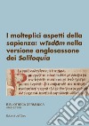 I molteplici aspetti della sapienza: wîsdôm nella versione anglosassone dei Soliloquia. Ediz. italiana e tedesca libro