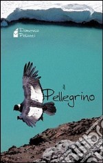 Il pellegrino libro