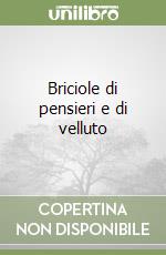 Briciole di pensieri e di velluto libro