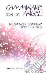 Camminare con gli angeli. In lumonisa compagnia verso la luce libro