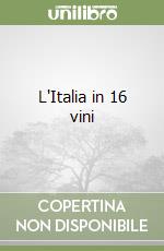 L'Italia in 16 vini libro