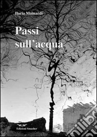Passi sull'acqua