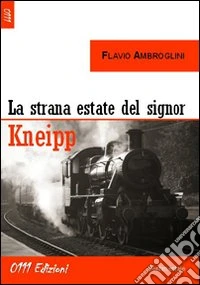 La strana estate del signor Kneipp libro