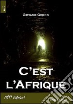 C'est l'Afrique libro