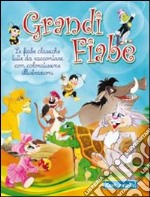 Grandi fiabe libro