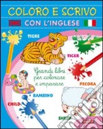 Coloro e scrivo con l'inglese