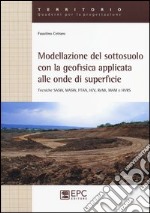 Modellazione del sotosuolo con la geofisica applicata alle onde di superficie. Tecniche SASW, MASW, FTAN, H/V, ReMi, MAM e HVRS libro