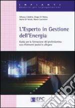 L'esperto in gestione dell'energia. Guida per la formazionre del professionista con riferimenti pratici in allegato libro