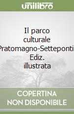 Il parco culturale Pratomagno-Setteponti. Ediz. illustrata libro