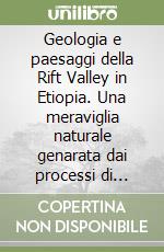 Geologia e paesaggi della Rift Valley in Etiopia. Una meraviglia naturale genarata dai processi di separazione continentale libro