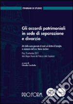 Gli accordi patrimoniali in sede di separazione e divorzio. Atti della 6° Giornata di studi sul diritto di famiglia in memoria dell'avv. Mario Jaccheri libro