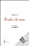 Il sole e la neve libro