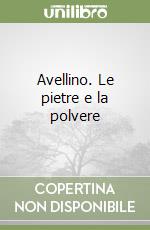 Avellino. Le pietre e la polvere libro