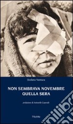 Non sembrava novembre quella sera libro