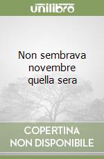 Non sembrava novembre quella sera libro