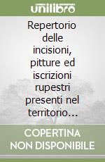 Repertorio delle incisioni, pitture ed iscrizioni rupestri presenti nel territorio dell'Air ed aree limitrofe libro