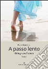 A passo lento. Dialogo con l'anima libro di Giannotta Katia