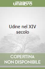 Udine nel XIV secolo