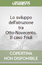 Lo sviluppo dell'istruzione tra Otto-Novecento. Il caso Friuli libro