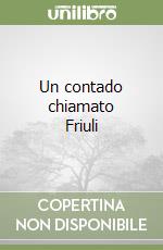 Un contado chiamato Friuli libro