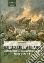 Non toccarono il verde piano. Cronache della battaglia di Monte Novegno maggio-giugno 1916