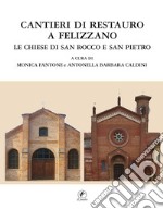 Cantieri di restauro a Felizzano. Le chiese di San Rocco e San Pietro libro