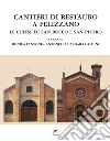 Cantieri di restauro a Felizzano. Le chiese di San Rocco e San Pietro libro