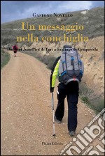 Un messaggio nella conchiglia. Da Saint Jean Pied de Port a Santiago de Compostela libro